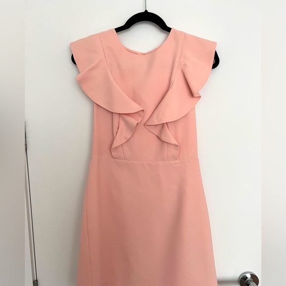 NWOT blush cocktail/office dress in size XS - Picture 1 of 3